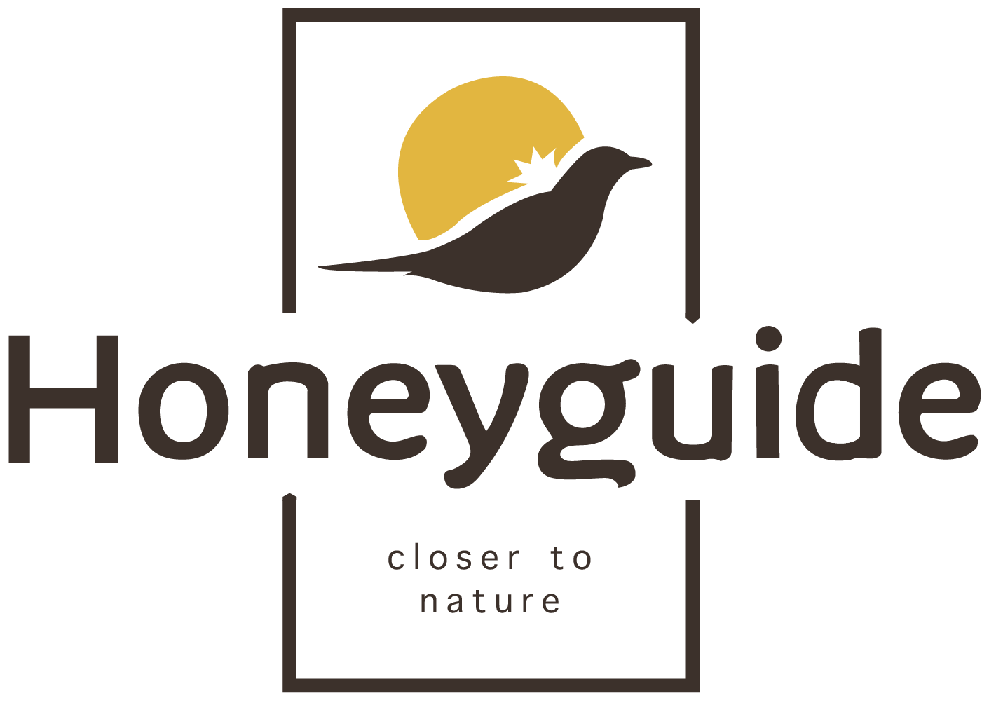 Honeyguide Tented Safari Camps 